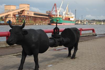 Прикрепленное изображение: DSC_0582.JPG